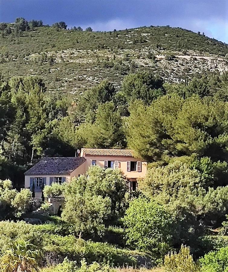 Villa des Oliviers Sanary-sur-Mer Esterno foto