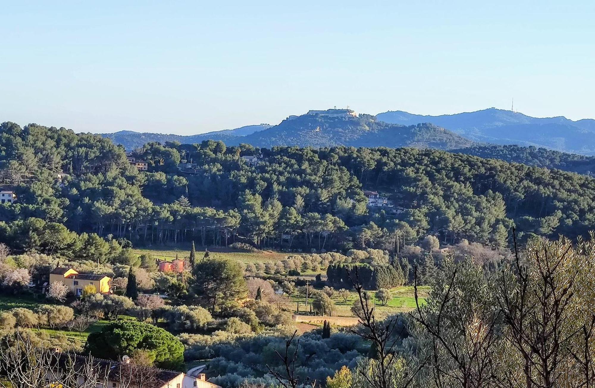 Villa des Oliviers Sanary-sur-Mer Esterno foto