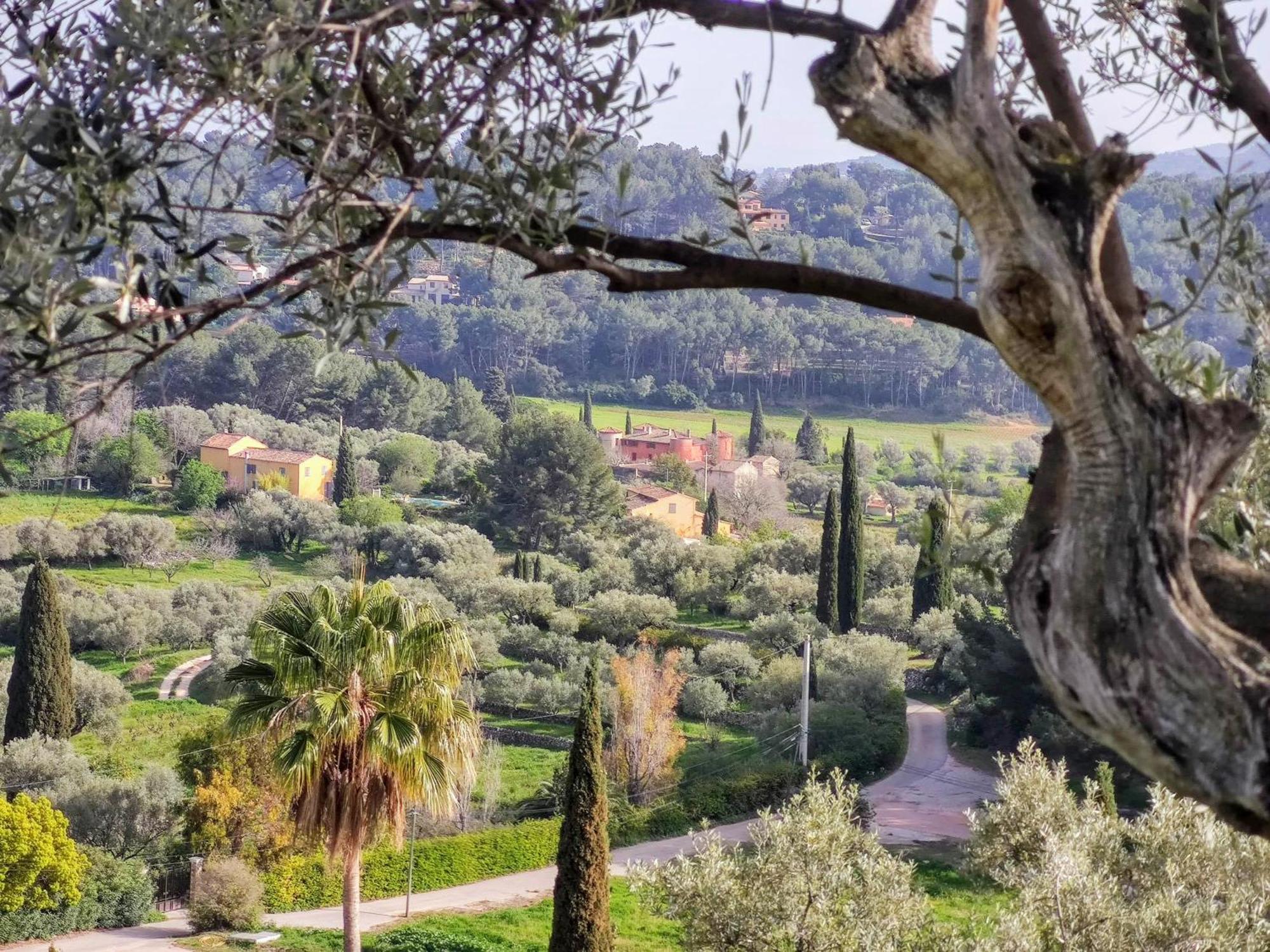 Villa des Oliviers Sanary-sur-Mer Esterno foto