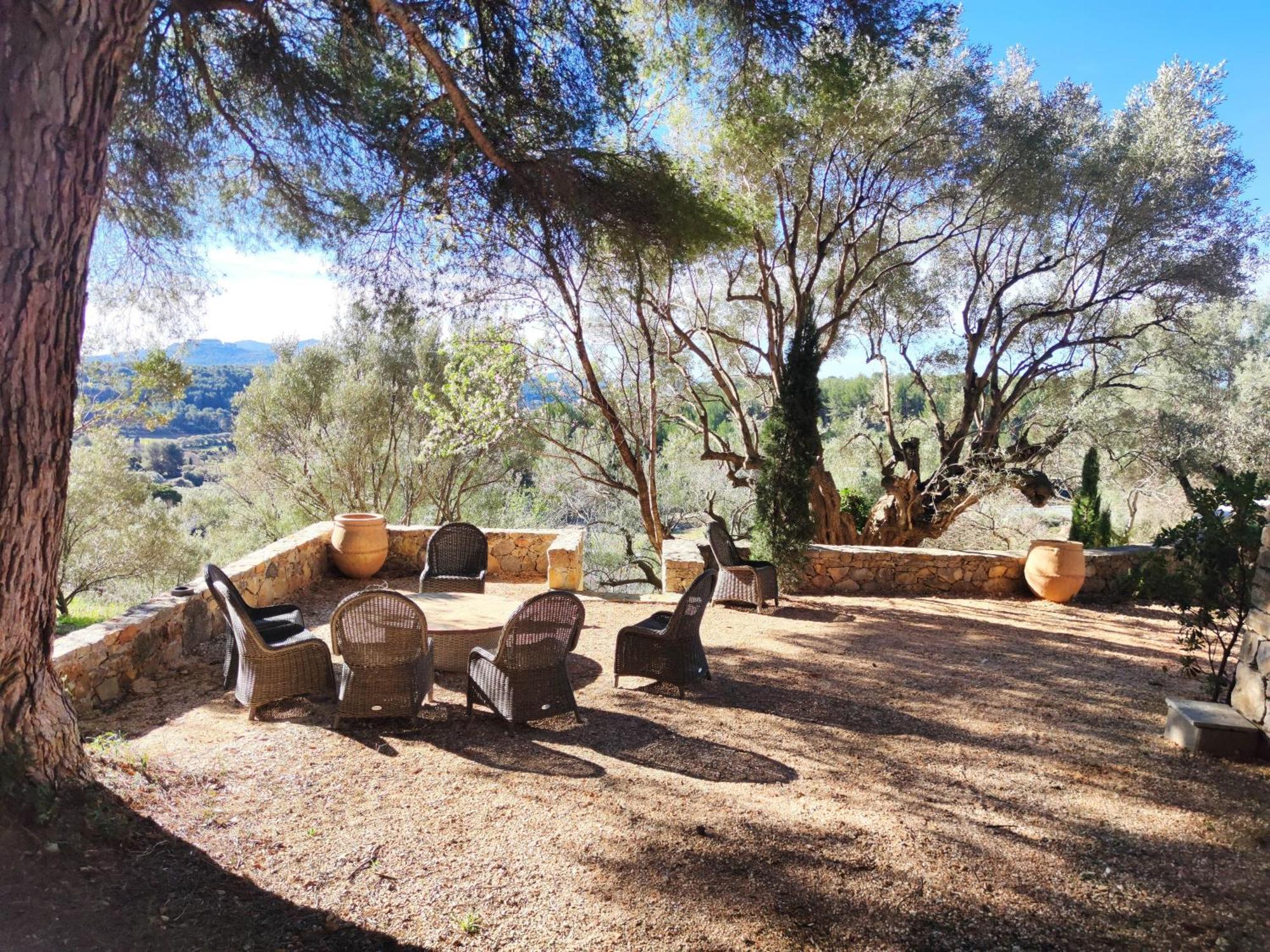 Villa des Oliviers Sanary-sur-Mer Esterno foto
